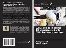 Buchcover von Evaluación de la calidad del hormigón mediante END - Tres casos prácticos