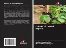 Buchcover von Coltura di tessuti vegetali