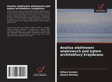 Copertina di Analiza elektrowni wiatrowych pod kątem architektury krajobrazu