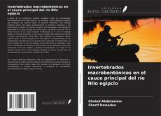 Portada del libro de Invertebrados macrobentónicos en el cauce principal del río Nilo egipcio