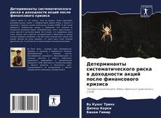 Copertina di Детерминанты систематического риска в доходности акций после финансового кризиса