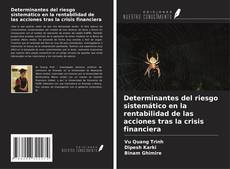 Copertina di Determinantes del riesgo sistemático en la rentabilidad de las acciones tras la crisis financiera