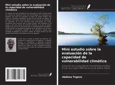 Copertina di Mini estudio sobre la evaluación de la capacidad de vulnerabilidad climática