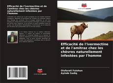 Bookcover of Efficacité de l'ivermectine et de l'amitraz chez les chèvres naturellement infestées par l'homme