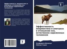 Borítókép a  Эффективность ивермектина и амитраза в отношении коз, естественно зараженных человеком - hoz