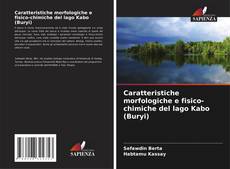 Обложка Caratteristiche morfologiche e fisico-chimiche del lago Kabo (Buryi)