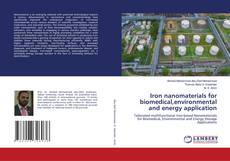 Bookcover of Iron nanomaterials for biomedical,environmental and energy application