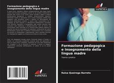Formazione pedagogica e insegnamento della lingua madre kitap kapağı