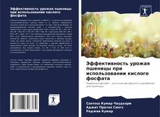 Capa do livro de Эффективность урожая пшеницы при использовании кислого фосфата 