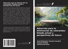 Capa do livro de Adsorción para la eliminación de colorantes: Estado actual y perspectivas de futuro 