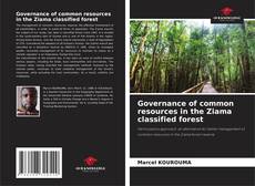 Governance of common resources in the Ziama classified forest kitap kapağı