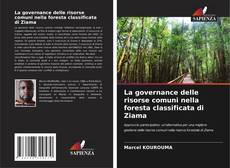 Couverture de La governance delle risorse comuni nella foresta classificata di Ziama