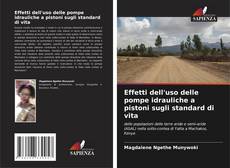 Borítókép a  Effetti dell'uso delle pompe idrauliche a pistoni sugli standard di vita - hoz