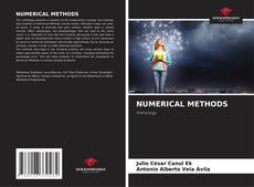 NUMERICAL METHODS kitap kapağı