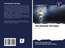 Copertina di ЧИСЛЕННЫЕ МЕТОДЫ