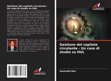 Portada del libro de Gestione del capitale circolante - Un caso di studio su HUL