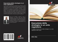 Buchcover von Esecuzione della strategia in un ente regolatore