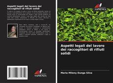Borítókép a  Aspetti legali del lavoro dei raccoglitori di rifiuti solidi - hoz