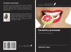 Capa do livro de Cerámica prensada 