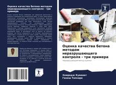 Copertina di Оценка качества бетона методом неразрушающего контроля - три примера