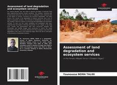 Copertina di Assessment of land degradation and ecosystem services