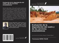 Copertina di Evaluación de la degradación del suelo y de los servicios ecosistémicos