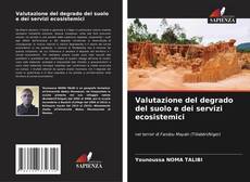 Capa do livro de Valutazione del degrado del suolo e dei servizi ecosistemici 