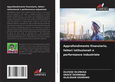 Copertina di Approfondimento finanziario, fattori istituzionali e performance industriale