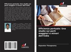 Capa do livro de Efficienza portuale: Uno studio sui porti maggiori e minori dell'India 