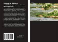 Cuentas de las enfermeras psiquiátricas:Creación de un entorno de aprendizaje clínico的封面