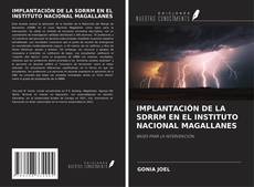 Buchcover von IMPLANTACIÓN DE LA SDRRM EN EL INSTITUTO NACIONAL MAGALLANES