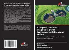 Buchcover von Compositi ceramici magnetici per il trattamento delle acque reflue