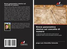 Copertina di Breve panoramica storica sul concetto di numero