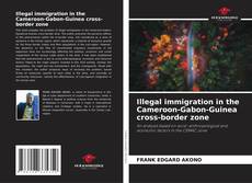 Copertina di Illegal immigration in the Cameroon-Gabon-Guinea cross-border zone