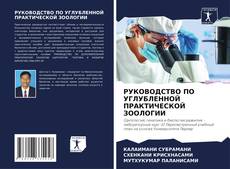 Copertina di РУКОВОДСТВО ПО УГЛУБЛЕННОЙ ПРАКТИЧЕСКОЙ ЗООЛОГИИ