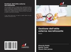 Capa do livro de Gestione dell'otite esterna necrotizzante 