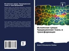 Copertina di Исламская среда: Традиционная ткань и трансформация