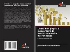 Portada del libro de Debiti non pagati e meccanismi di mediazione nella microfinanza