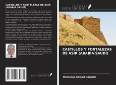Copertina di CASTILLOS Y FORTALEZAS DE ASIR (ARABIA SAUDÍ)