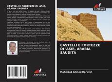 Обложка CASTELLI E FORTEZZE DI 'ASIR, ARABIA SAUDITA