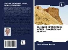 Copertina di ЗАМКИ И КРЕПОСТИ В 'АСИРЕ, САУДОВСКАЯ АРАВИЯ