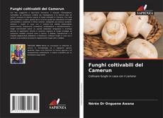 Portada del libro de Funghi coltivabili del Camerun
