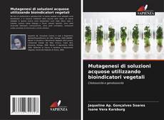 Portada del libro de Mutagenesi di soluzioni acquose utilizzando bioindicatori vegetali