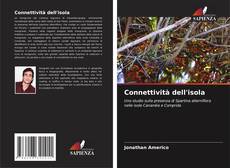 Portada del libro de Connettività dell'isola