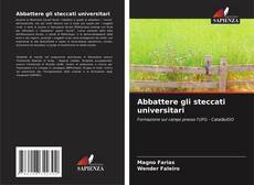 Copertina di Abbattere gli steccati universitari
