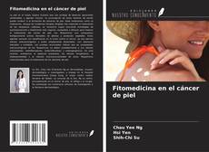 Buchcover von Fitomedicina en el cáncer de piel