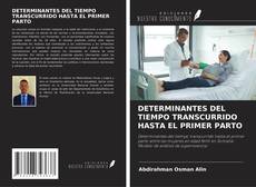 Copertina di DETERMINANTES DEL TIEMPO TRANSCURRIDO HASTA EL PRIMER PARTO