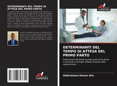 Capa do livro de DETERMINANTI DEL TEMPO DI ATTESA DEL PRIMO PARTO 