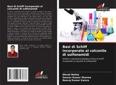 Capa do livro de Basi di Schiff incorporate al calconile di sulfonamidi 