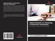 Copertina di Determinants in choosing a financial institution